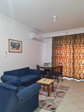 A cozy room in 2 bedrooms apartment with a back yard